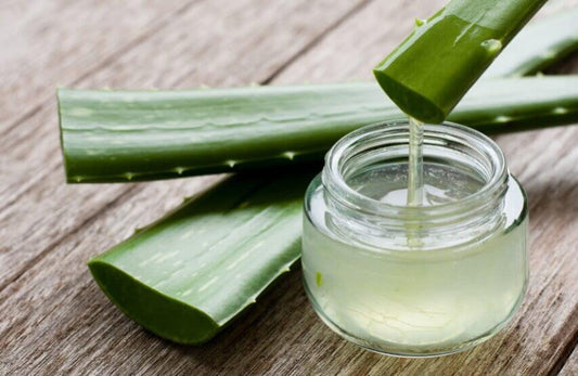 Les bienfaits de l'aloe vera pour les cheveux