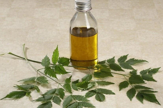 Les bienfaits de l'huile de neem pour les cheveux et lutter contre les pellicules