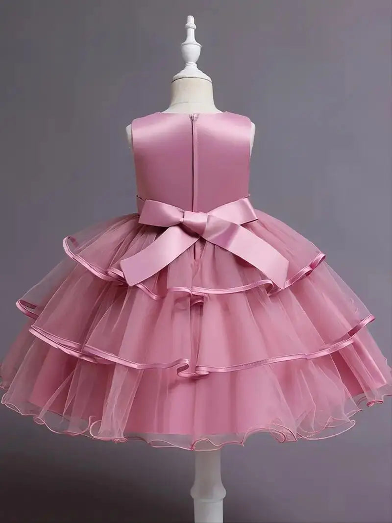 Girls Princess Dress Sleeveless Flower Embroidery Tutu Dress Performance Dress Wedding Flower Girls For Evening Birthday